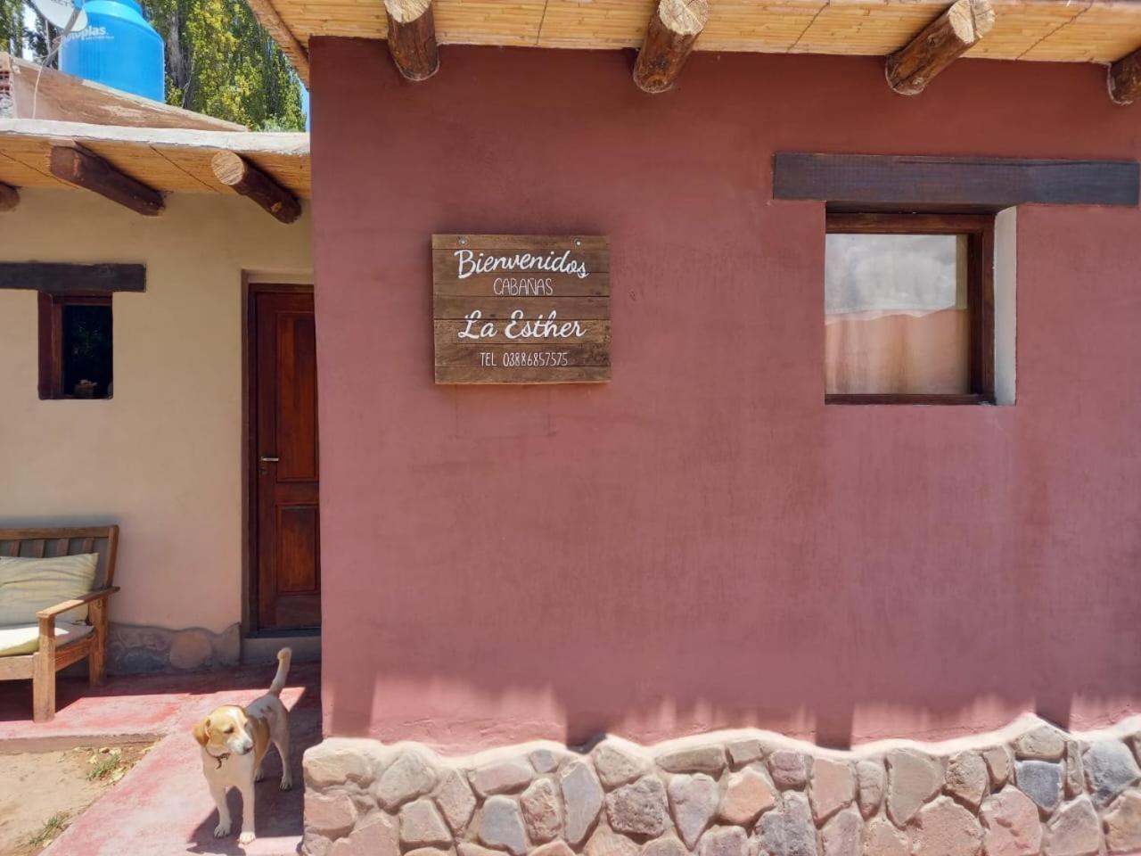 Cabanas La Esther Tilcara Exterior photo